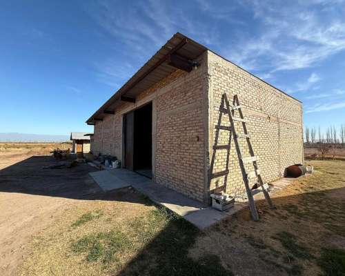 Finca Ideal para Chacra 75ha, Colonia Italia, Lavalle.