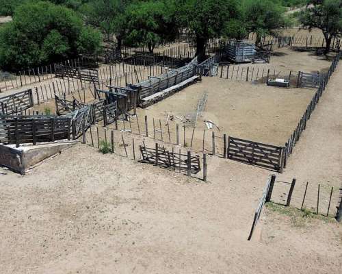 Campo Ganadero en Chuña, Córdoba