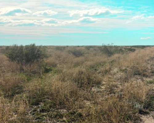 9.400 Ha Zona Vaca Muerta, la Pampa, con Regalias