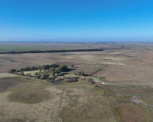Pcia. de Buenos Aires - Gorch 860 Ha