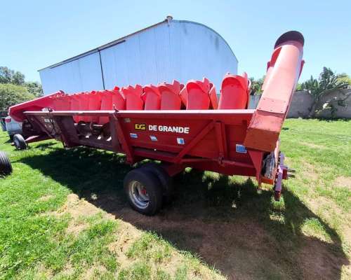 Maicero de Grande de 13 S. año 2003.