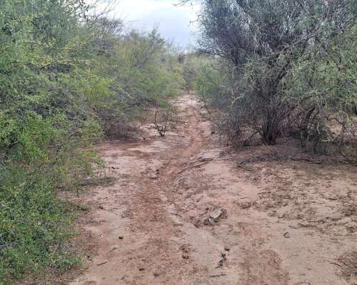 Punta de los Llanos (LA Rioja)
