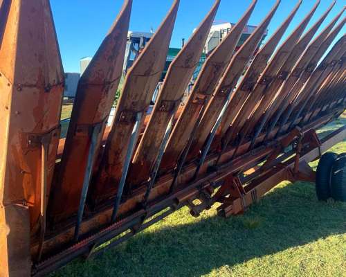 Girasolero Mainero 10 / 70