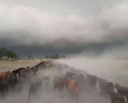Vendo Campo Agricola .