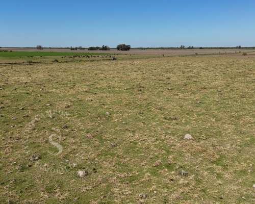 Venta Campo Mixto. 64 HA. la Criolla, Santa FE.