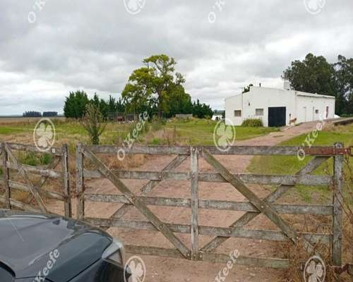 Campo en Venta 178 Has en Loberia