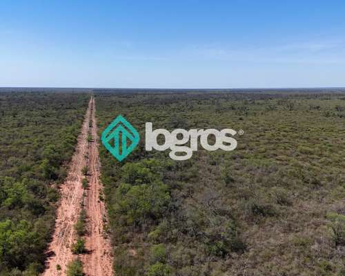 Campo en el Tunal, Salta