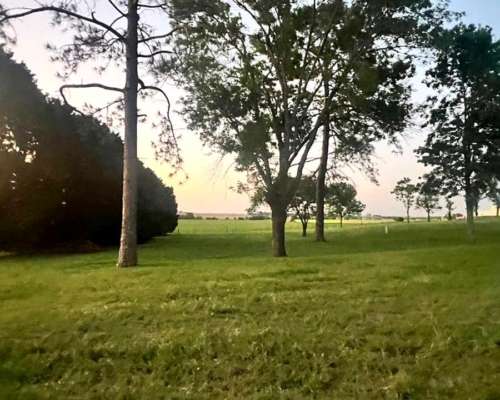 Campo de Privilegio 70 Hectáreas