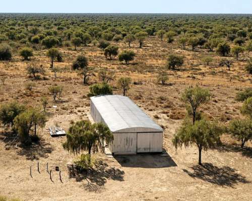 Guanaco Muerto, Cruz del Eje, Córdoba - 4.500 Ha