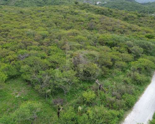 Terreno en Venta 1 Hectárea, Valle Buena Esperanza, Alta GRA