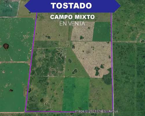 Campo Mixto 400has Tostado