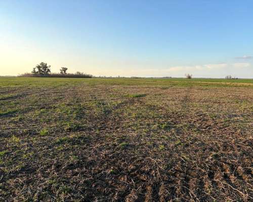Oportunidad Campo en Totoras