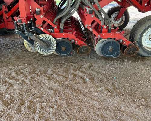 Semb. Grano Fino Crucianelli Drilor 5517 año 2017 a Chorrill