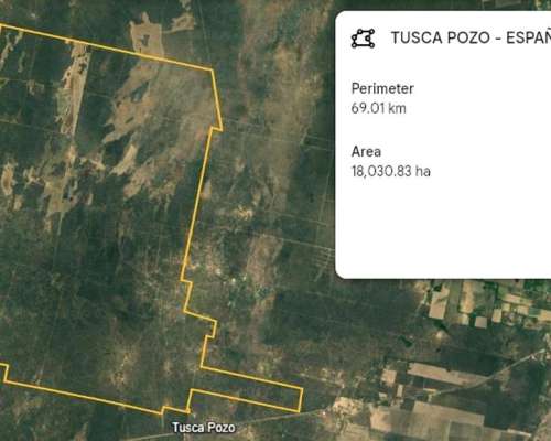 Campo Ganadero - Laprida - Santiago del Estero.-