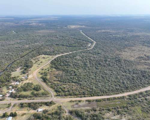 Pcia. de Corrientes - Curuzu Cuatia 14884 Has