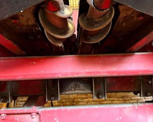 Maicero Mainero Modelo 2008 de 13 a 52