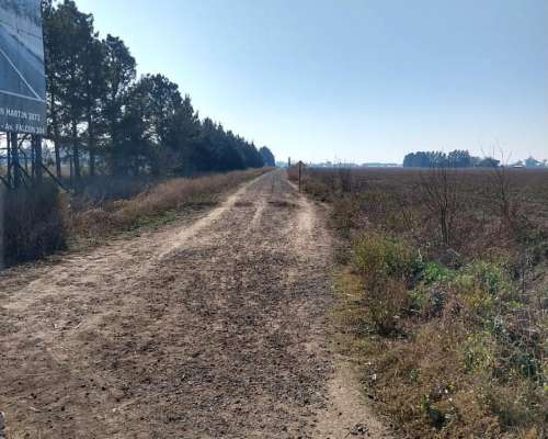Campo de 6,29 Ha Sobre Autopista ROS - BS AS