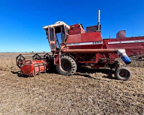 Cosechadora Massey Ferguson 5650