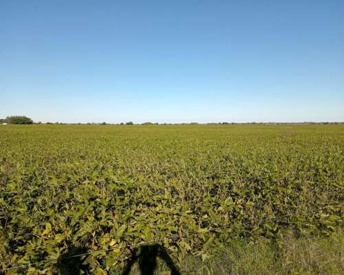 120 Ha en Don Cristobal. Campo Mixto