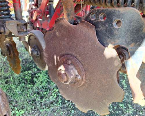 Semb Fino - Crucianelli Pionera 21 a 26