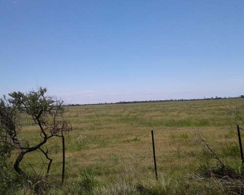 Venta Campo Ganadero - Zona Gobernador Dupuy - San Luis
