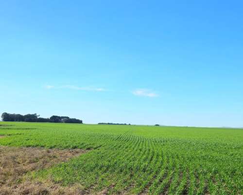900 Ha Cabildo, Buenos Aires