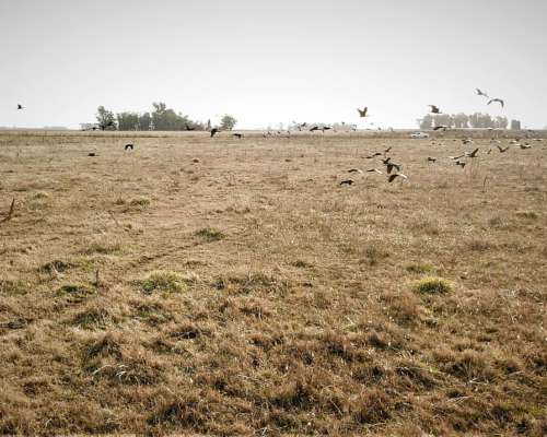 San Enrique 137 Ha 25 de Mayo BS. AS.