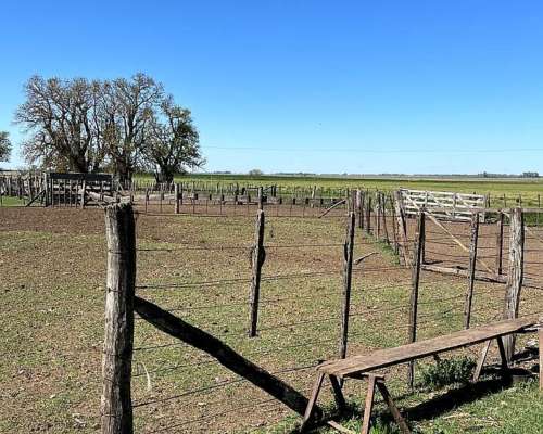 Campo Mixto en Venta