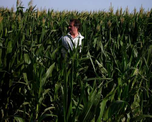 800ha Tambo Armado +equipo de Riego +1000 Vacas Kiwi Cross