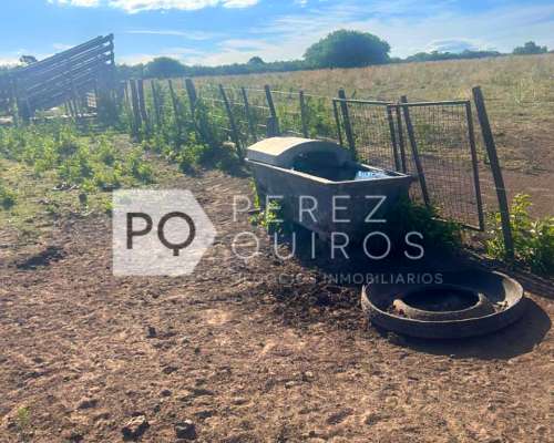 Se Vende Campo Agricola en Tulumba
