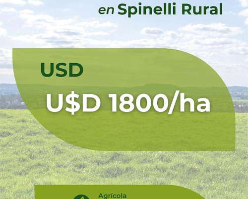 330 Ha en Lucas SUR