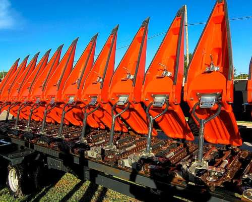 Plataforma Maicero Ombu 2020, año 2021, 20 a 52,