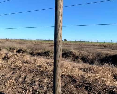 Poste Madera Plastica 100% Plastico Cero Mantenimiento