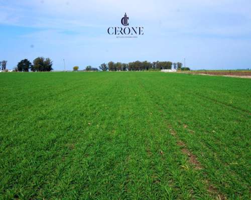 Venta - Campo - 12 Hectareas - Mechongue
