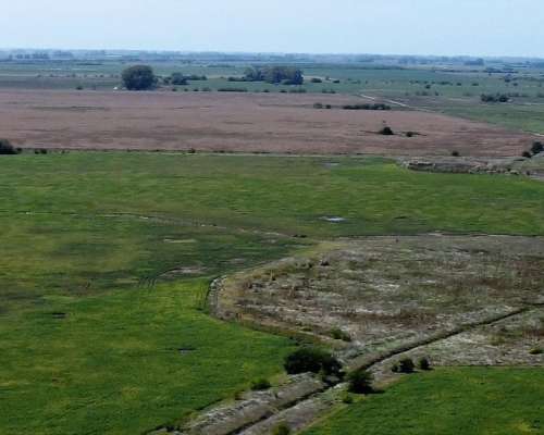 Campo Agrícola en Alquiler