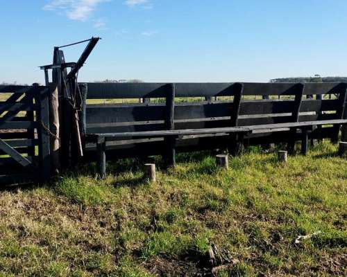 Loma Verde - 83 Ha - Buenos Aires