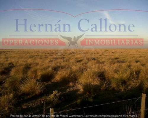 Campo Ganadero 5560 Ha en SUR de Santiago del Estero