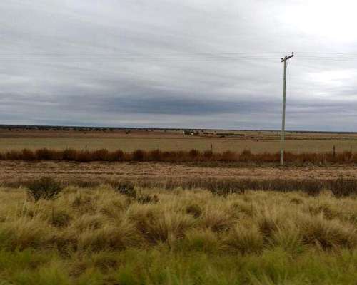 Campo en Venta Zona San Luis