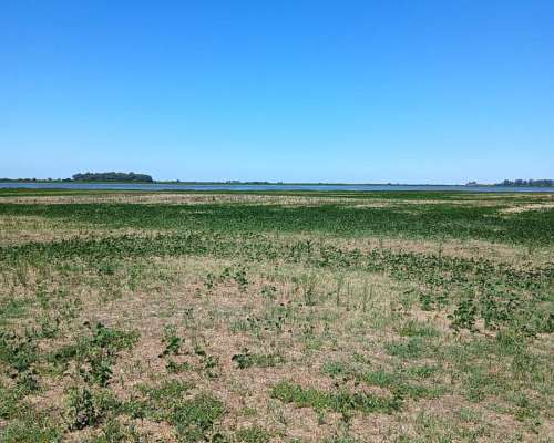 Campo Mixto - Bolivar