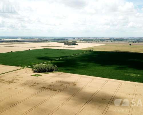 Campo Agrícola con Casco en Zarate