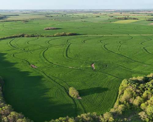 340 Ha Agricolas Capitan Sarmiento