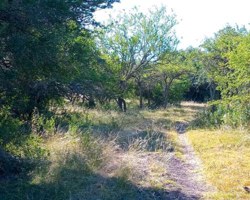 260 HA. Buen Campo Ganadero. Dpto Paraná