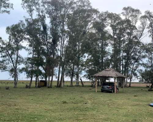 Campo Mixto 32 Hectáreas con Casco Roque Pérez