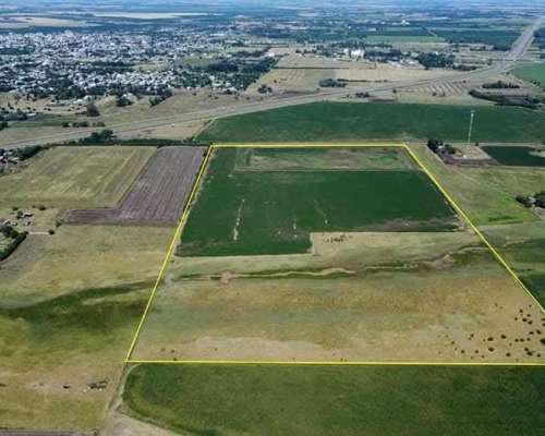 Venta: 30 Hectáreas en Arrecifes, Campo Agroganadero