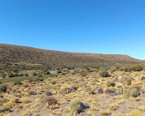 Estancia en Rio Mayo. 7345 HA. Chubut
