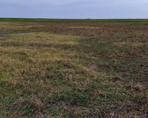 643 Ha Mixto Aptitud Agrícola y Ganadería de Ciclo Completo