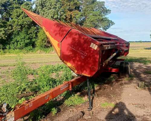 Girasolero Mainero 1040 de 10/70