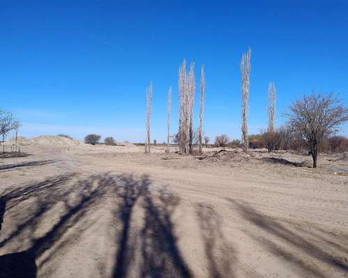 Finca de 140 Has Excelente Calidad de Tierra Cochagual Sjuan