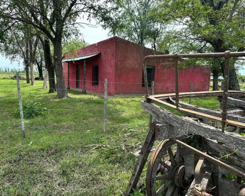 Venta Campo Ganadero Pilar Santa FE
