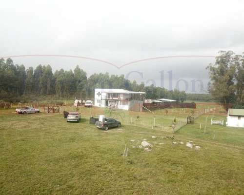 Excelente Campo 13 Has con Cabañas en Maldonado, Uruguay